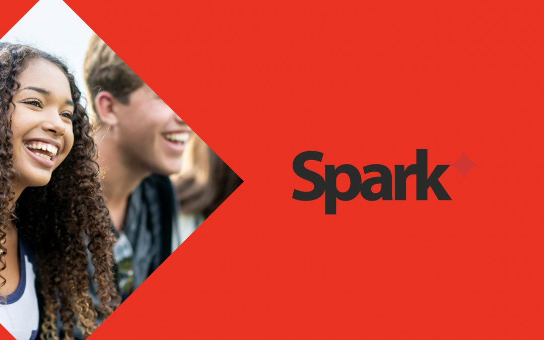 Empowering VIVES with SPARK: Revolutionizing Internship Management