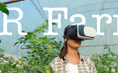 Connecting consumers with producers in the metaverse